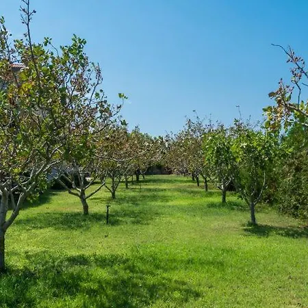 Eleana Apart Otel Hanya